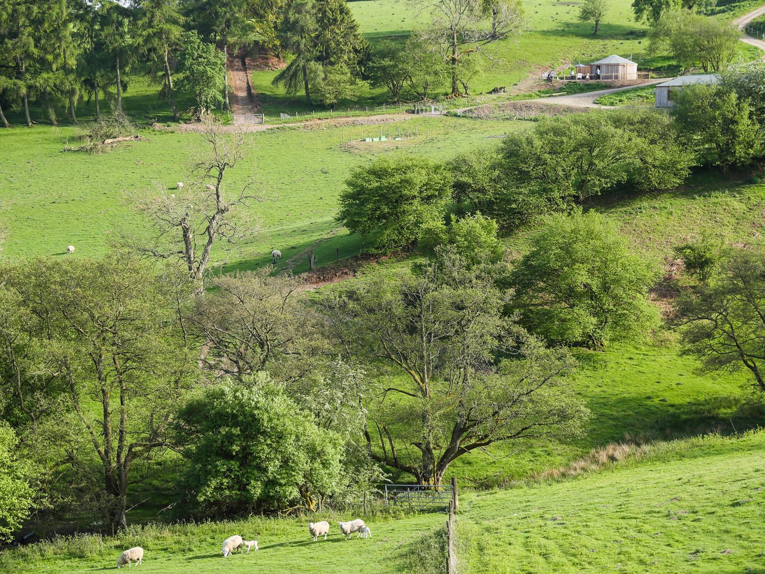فيلا Rolling Hills نيوكاسل المظهر الخارجي الصورة